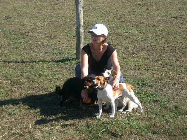 Sue and Dogs